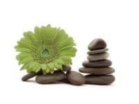 Therapist in Harlow | The Little Room Of Harmony
